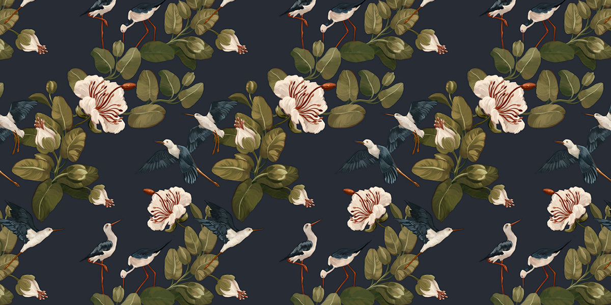 Birds
