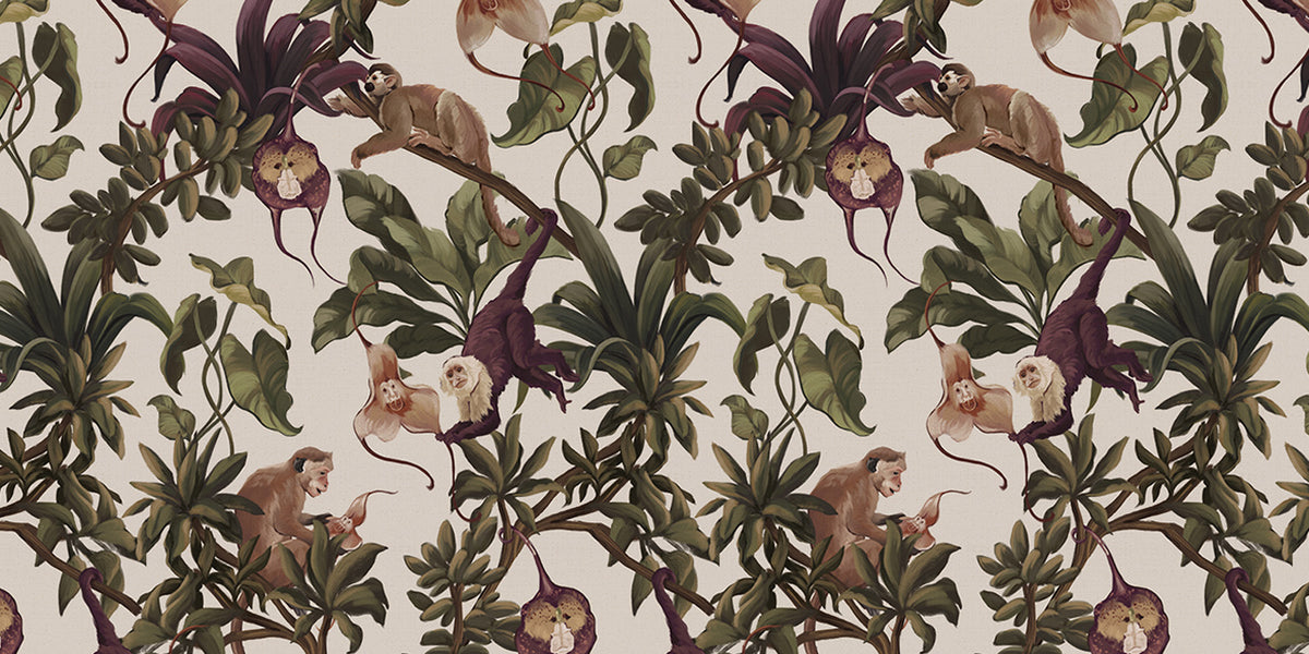 Monkey Orchids or Orchid Monkeys?